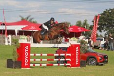 Article image thumbnails