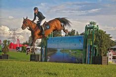 Article image thumbnails