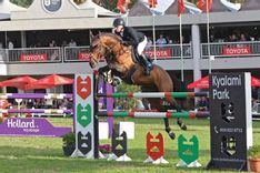 Article image thumbnails