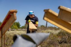 Article image thumbnails